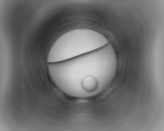 X0000112760759200908201033