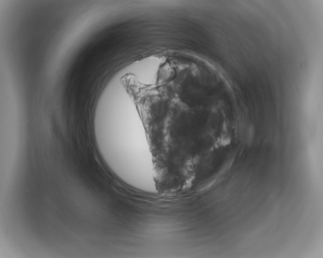 X0000112760761200908201033