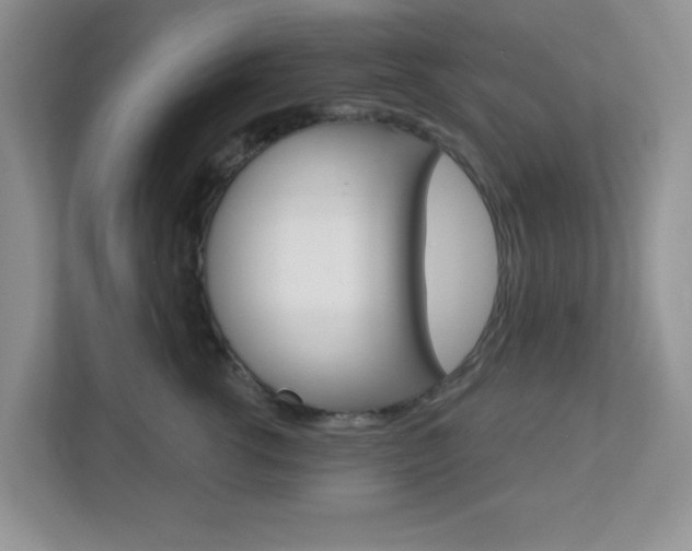 X0000112760762200908201033