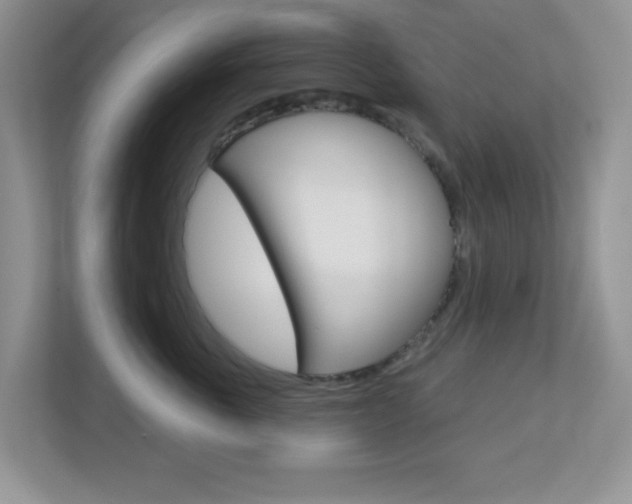 X0000112760763200908201033