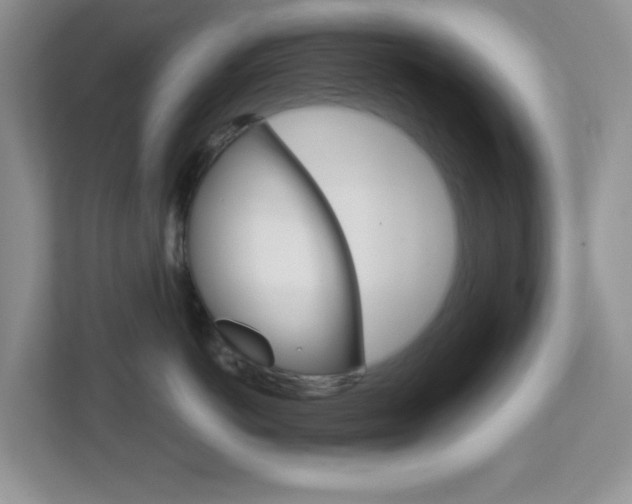 X0000112760766200908201033