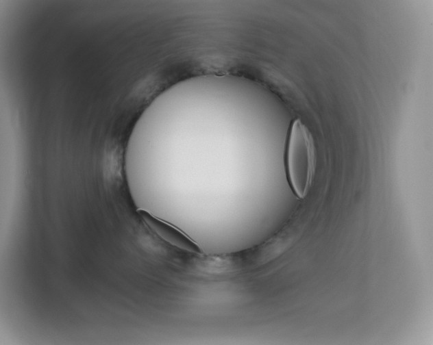 X0000112760768200908201033