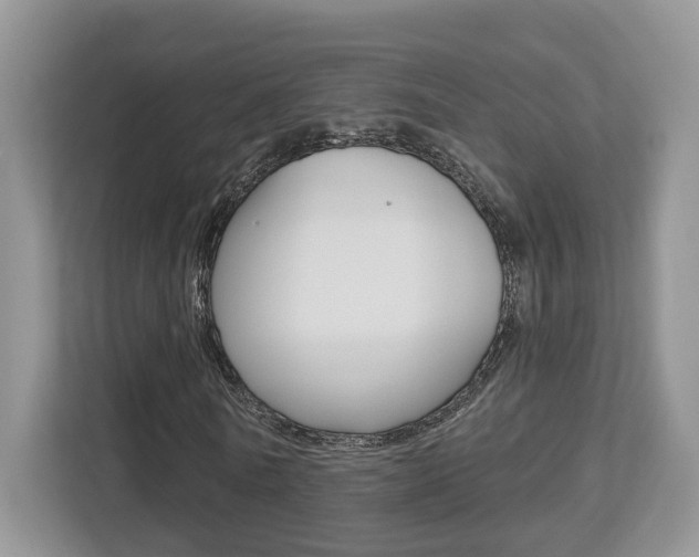 X0000112760770200908201033