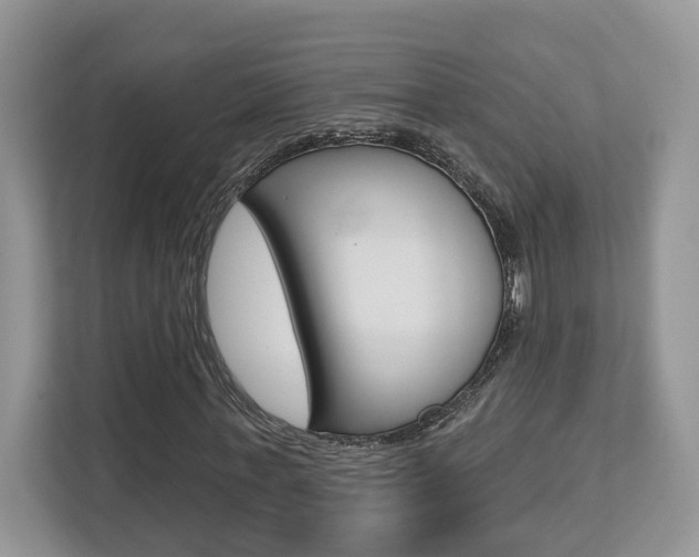 X0000112760771200908201033