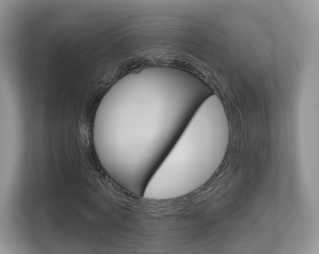 X0000112760772200908201033