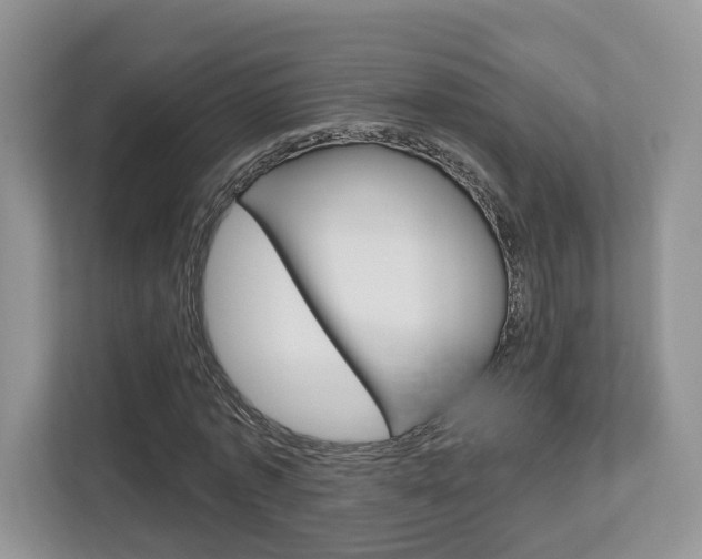 X0000112760773200908201033