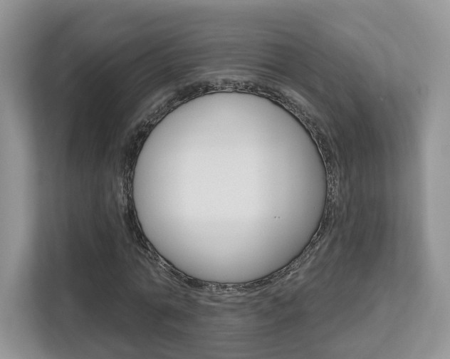X0000112760774200908201033