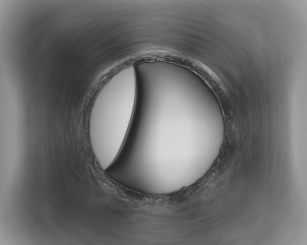 X0000112760775200908201033