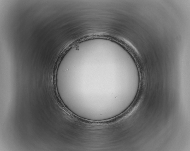 X0000112760777200908201033
