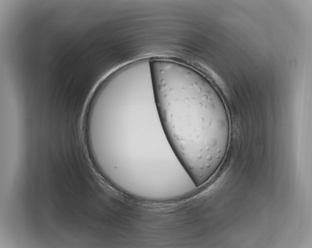 X0000112760779200908201033