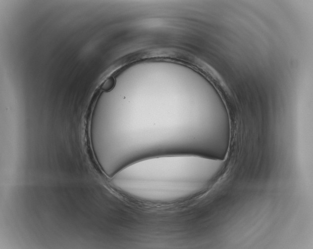 X0000112760786200908201032