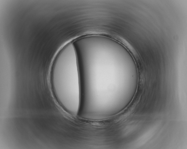 X0000112760787200908201032