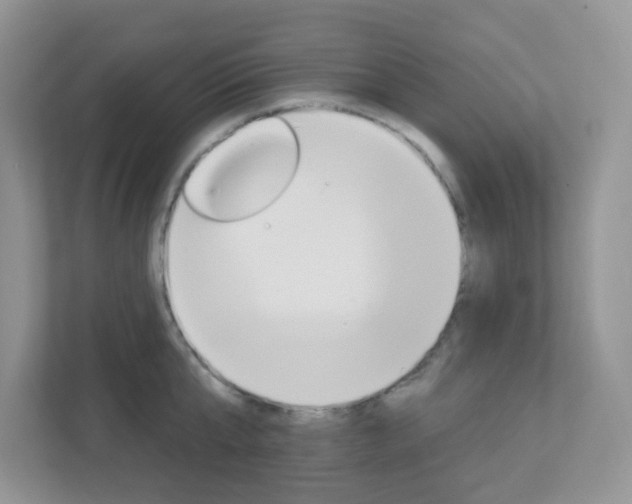 X0000112760807200908201032