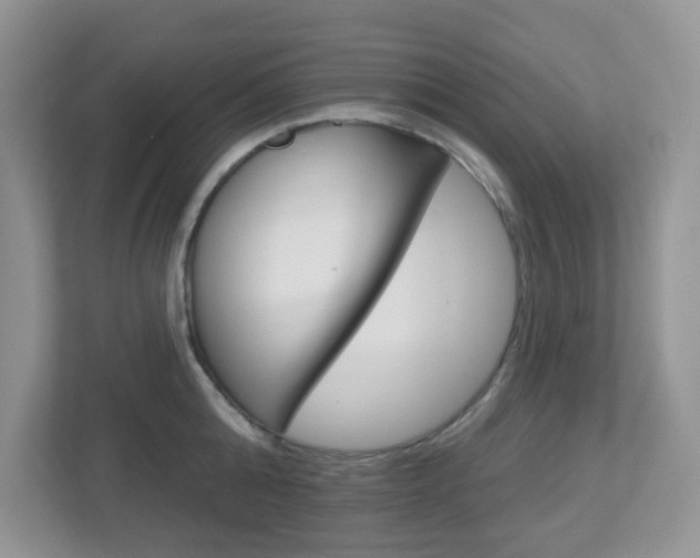 X0000112760808200908201032