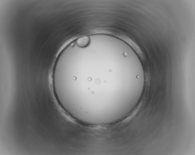 X0000112760814200908201032