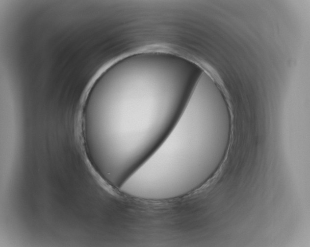 X0000112760816200908201032