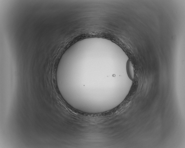 X0000112760817200908201031