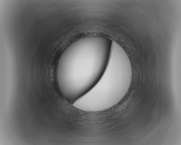 X0000112760818200908201031
