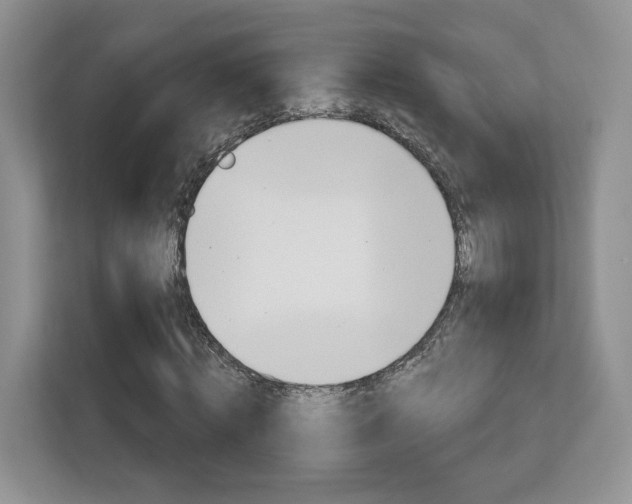 X0000112760820200908201031