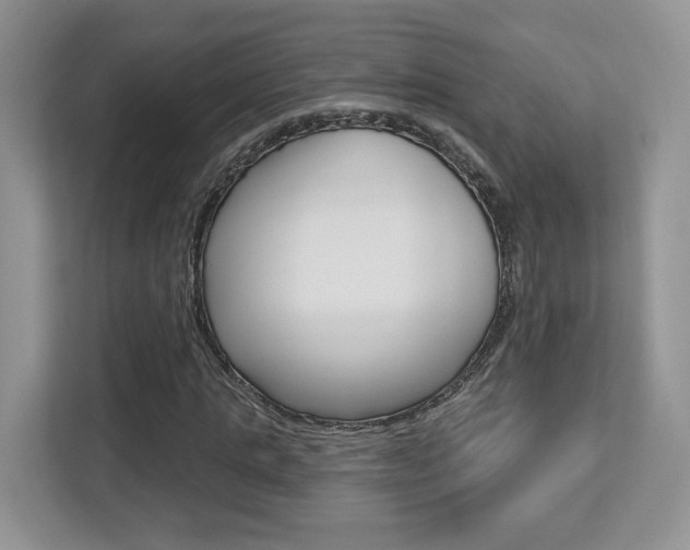 X0000112760821200908201031