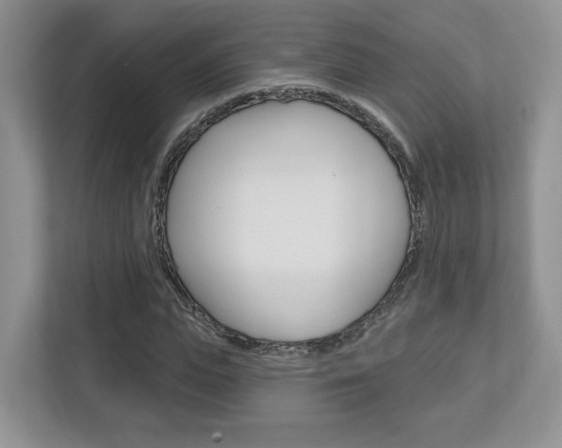 X0000112760823200908201031