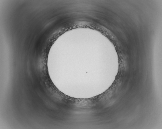 X0000112760824200908201031