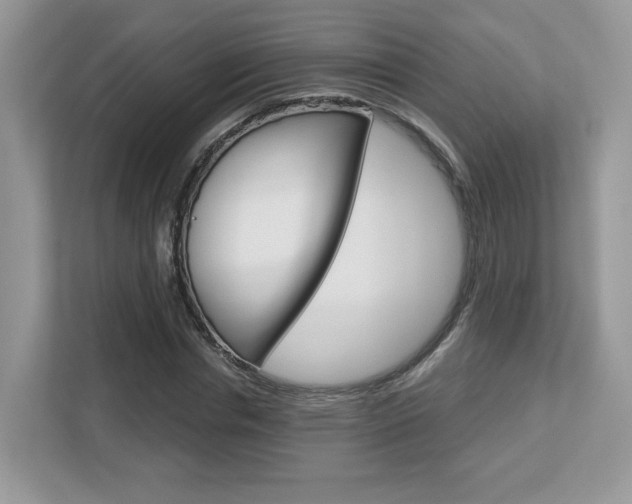 X0000112760826200908201032