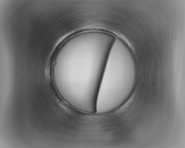 X0000112760830200908201032