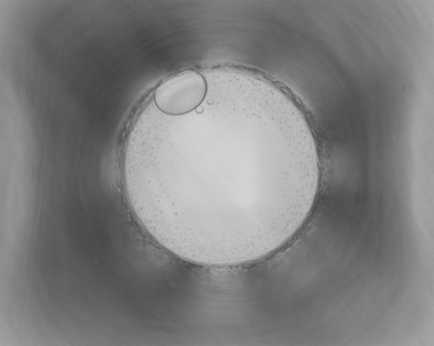 X0000112760832200908201032