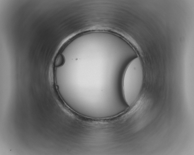 X0000112760838200908201032