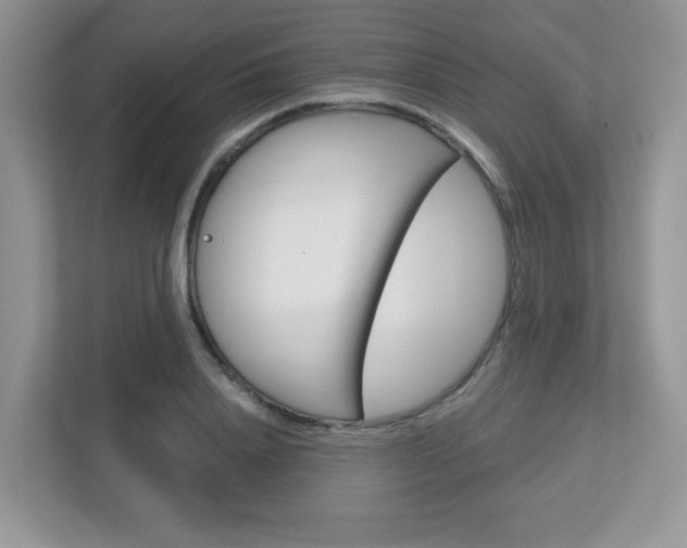 X0000112760840200908201032