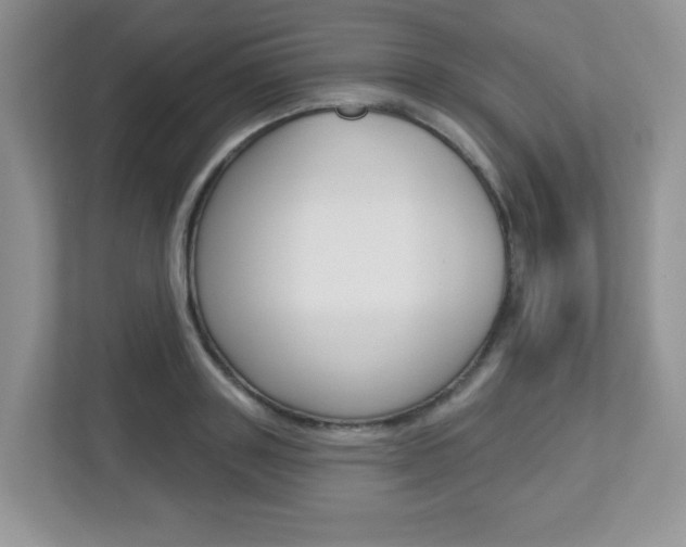 X0000112760843200908201032