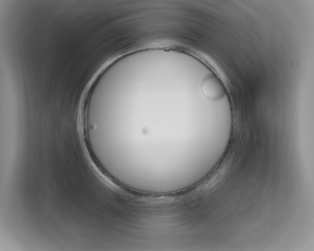 X0000112760851200908201032