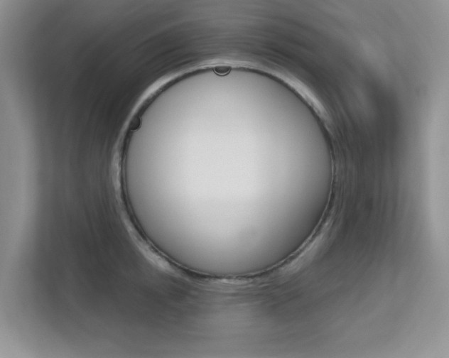 X0000112760854200908201032