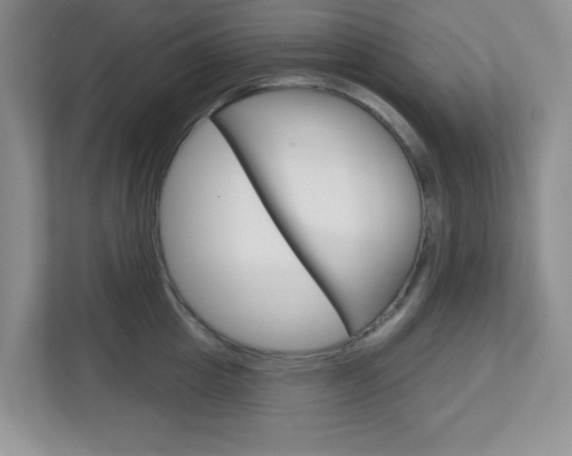 X0000112760857200908201032