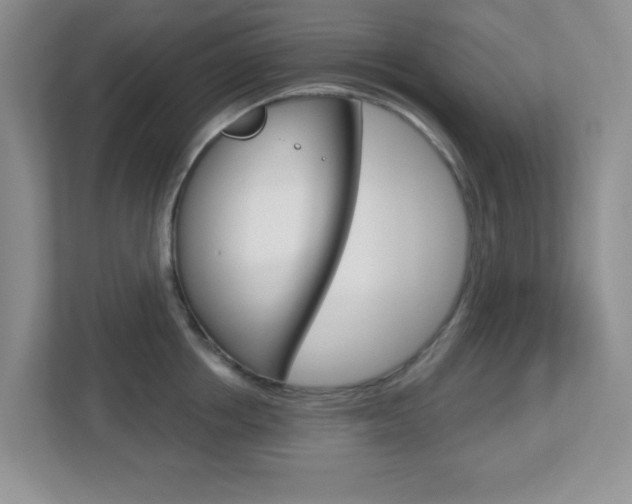 X0000112760858200908201032