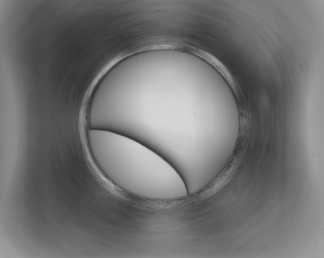 X0000112760859200908201032