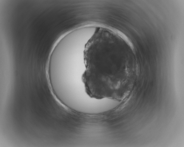X0000112760863200908201032