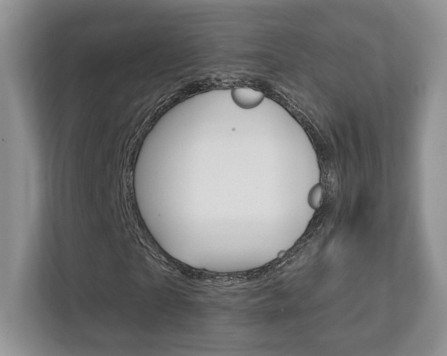 X0000112760865200908201031