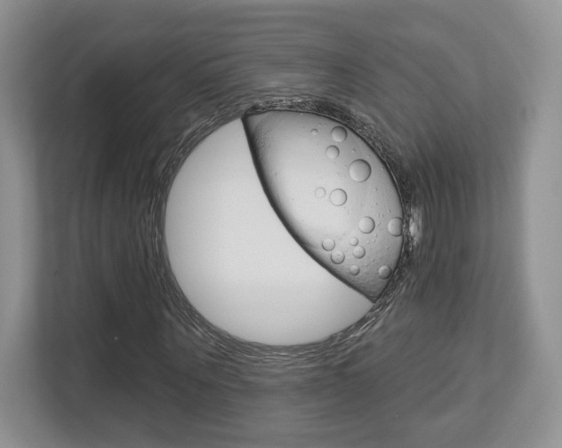 X0000112760867200908201031