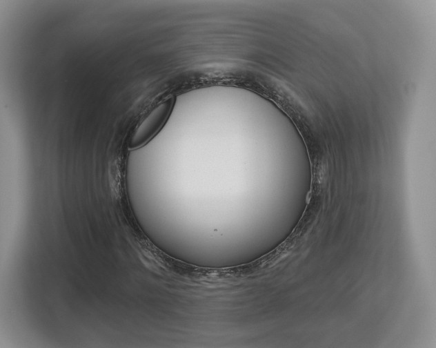 X0000112760868200908201031