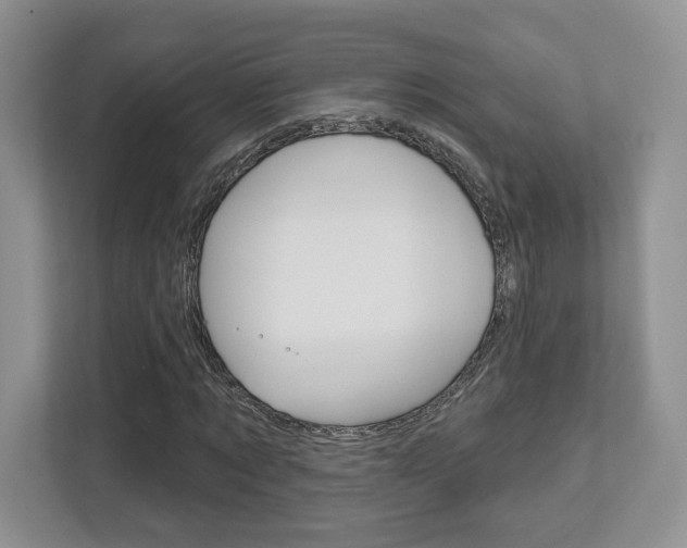X0000112760869200908201031