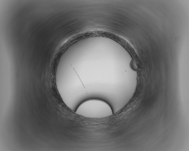 X0000112760871200908201031