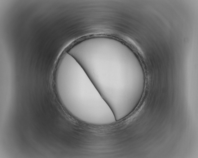 X0000112760875200908201031