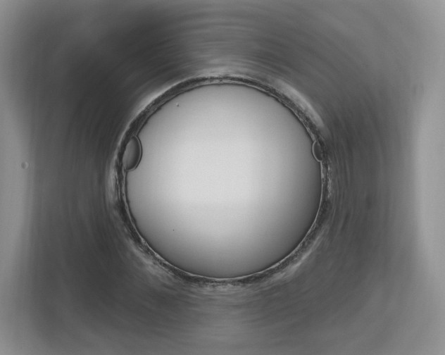 X0000112760876200908201031