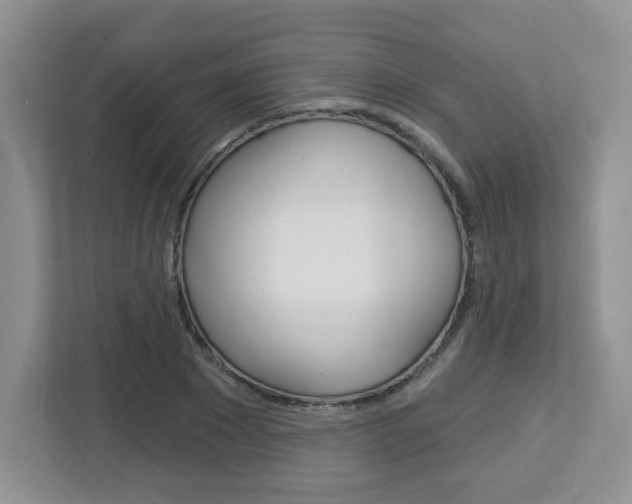 X0000112760881200908201031