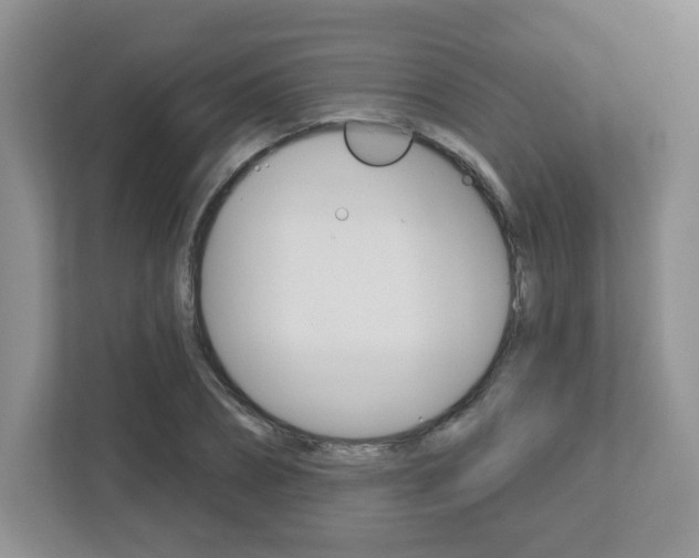 X0000112760882200908201031