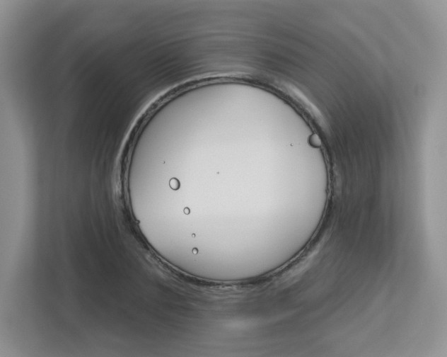 X0000112760883200908201031