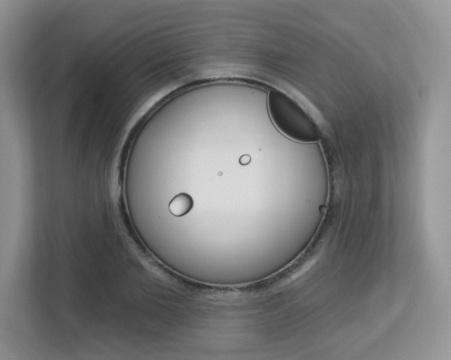 X0000112760885200908201031