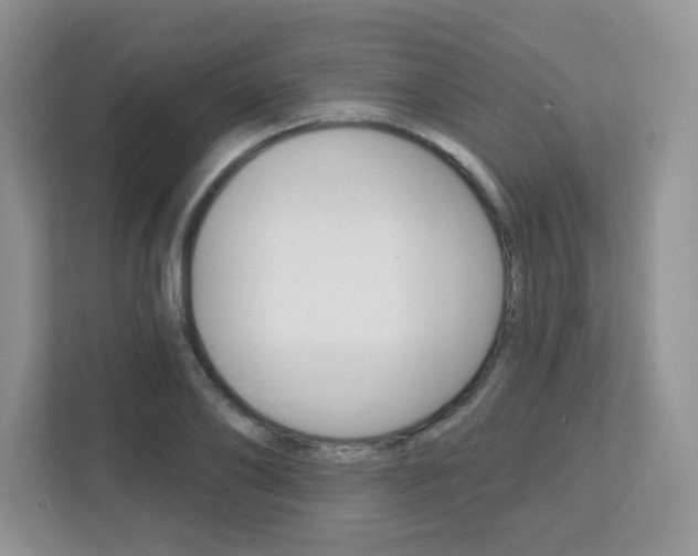 X0000112760886200908201031